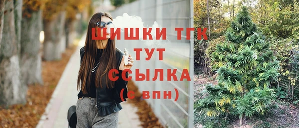 spice Фёдоровский