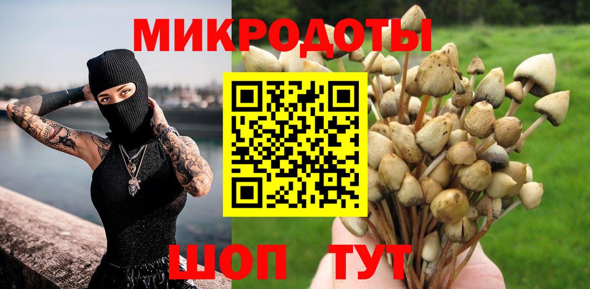 Куйбышев  Галлюциногенные грибы мухоморы  Вход с VPN 