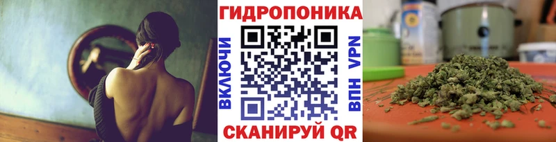 купить закладку  Куйбышев  Конопля сатива 